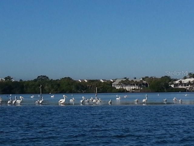 7 LAUREL COURT, Placida, FL 33946