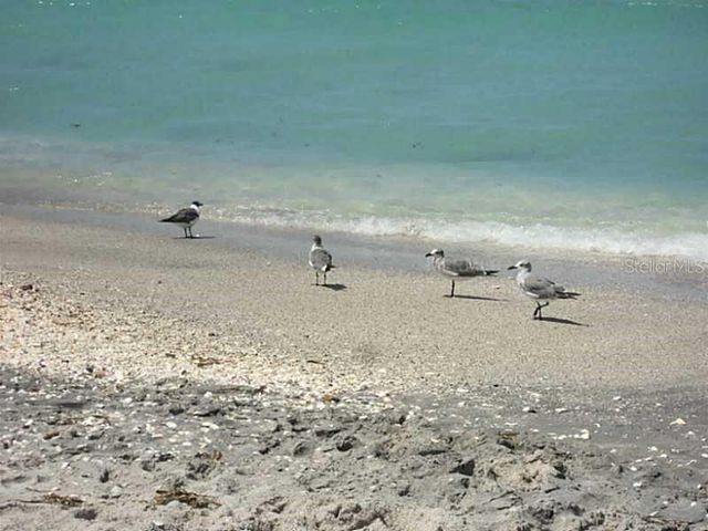 7 LAUREL COURT, Placida, FL 33946