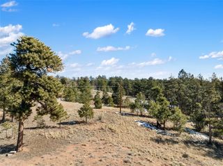 530 Columbine Road, Florissant, CO 80816