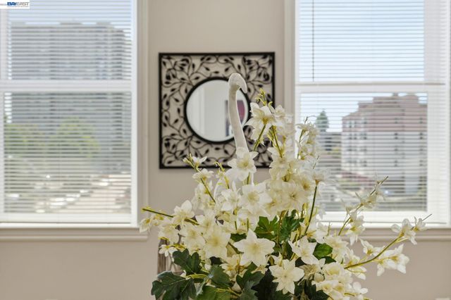 252 International Blvd 303, Oakland, CA 94606