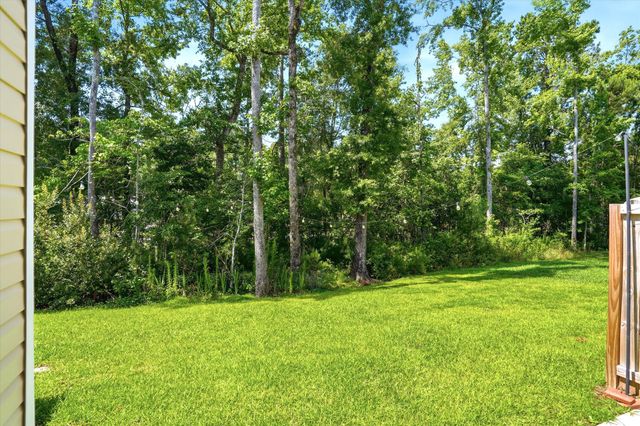 523 Green Fern Drive, Summerville, SC 29483
