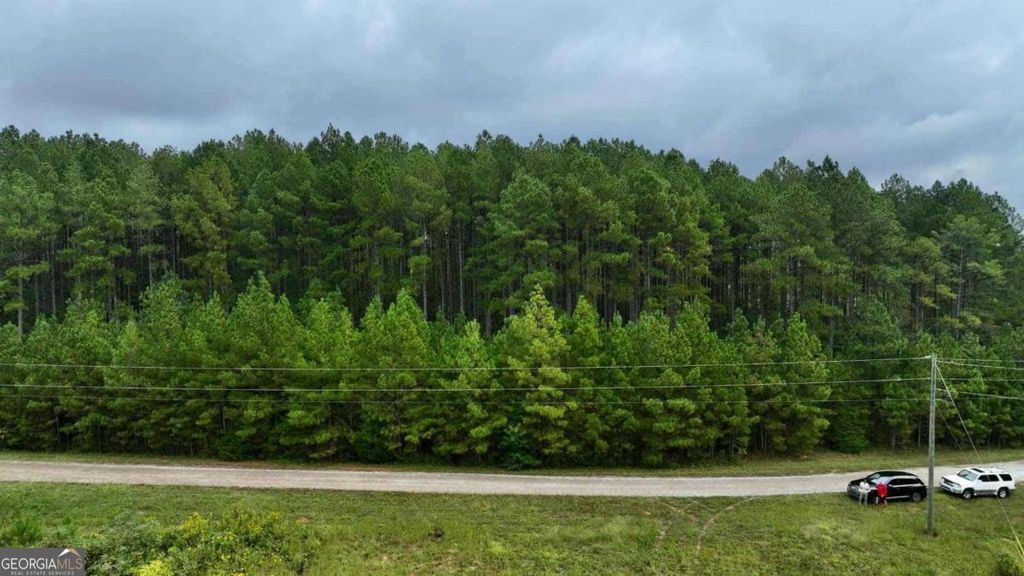 0 Jacks Hat Road, Elberton, GA 30635 — photo 5