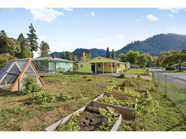 76395 RIVER Rd, Oakridge, OR 97463