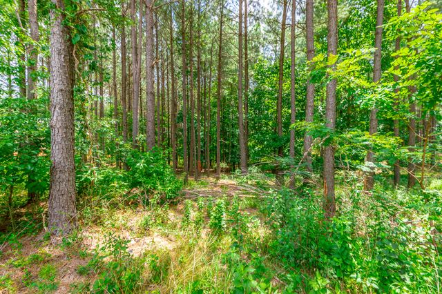 290 Wilderness Drive, Jasper, TN 37347