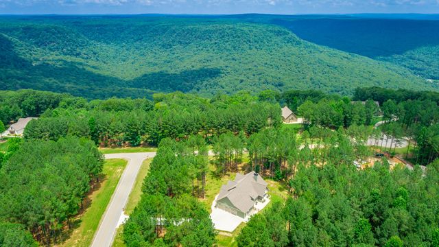 290 Wilderness Drive, Jasper, TN 37347