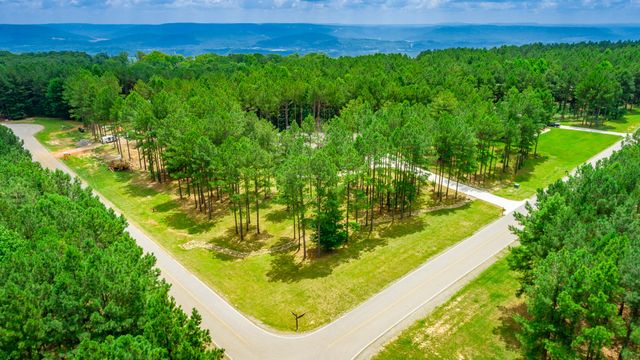 290 Wilderness Drive, Jasper, TN 37347