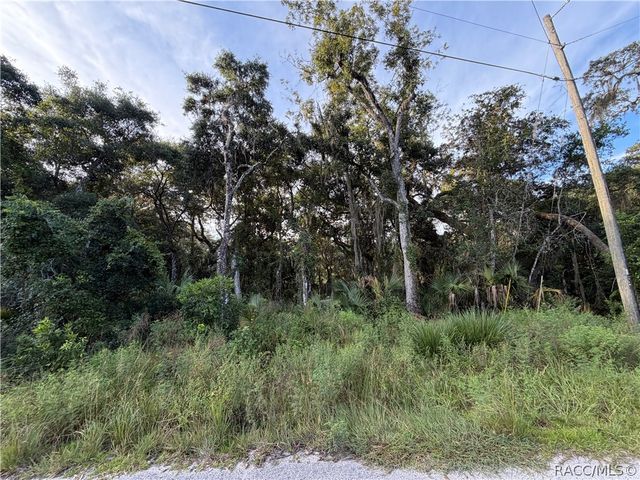 7060 E Gunn Court, Inverness, FL 34450