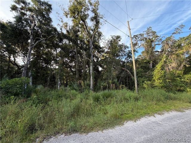 7060 E Gunn Court, Inverness, FL 34450