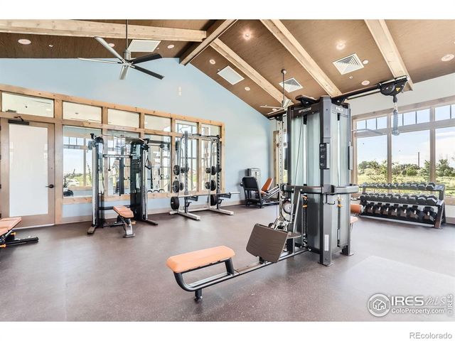 2807 Bear Springs Circle, Longmont, CO 80503