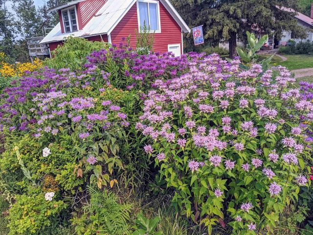 60445 W Summit Rd, Ashland, WI 54806