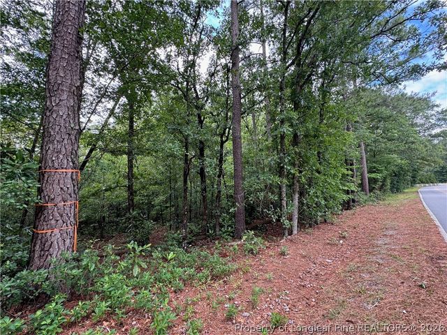 TBD Myra Road, Raeford, NC 28376
