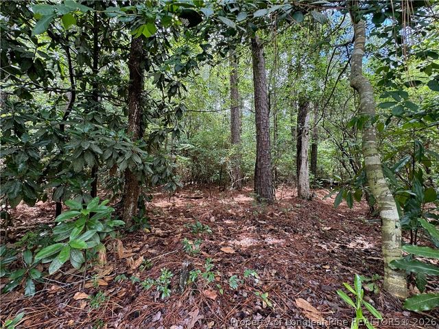 TBD Myra Road, Raeford, NC 28376
