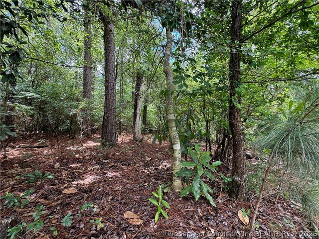 TBD Myra Road, Raeford, NC 28376