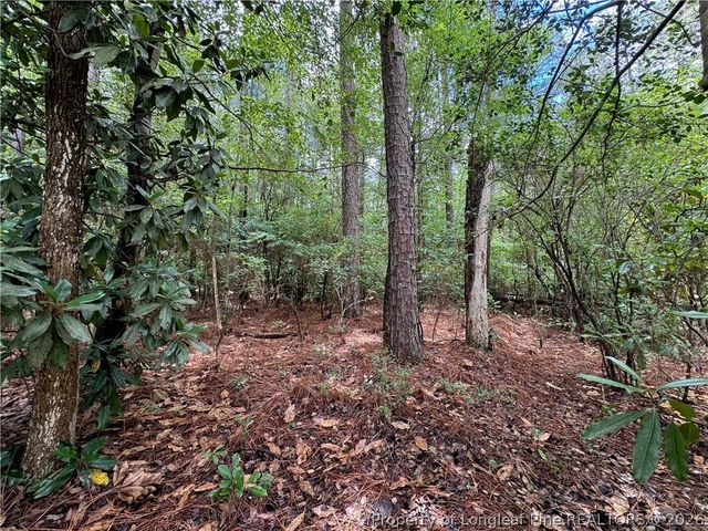 TBD Myra Road, Raeford, NC 28376