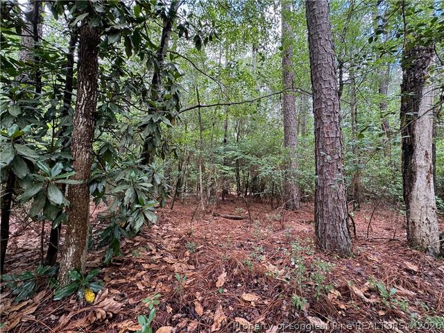 TBD Myra Road, Raeford, NC 28376