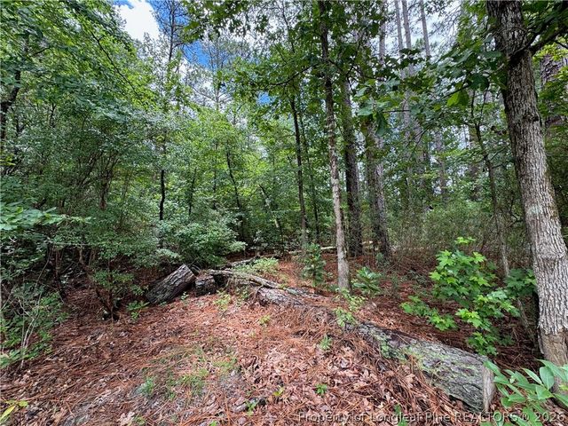 TBD Myra Road, Raeford, NC 28376