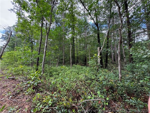 TBD Myra Road, Raeford, NC 28376