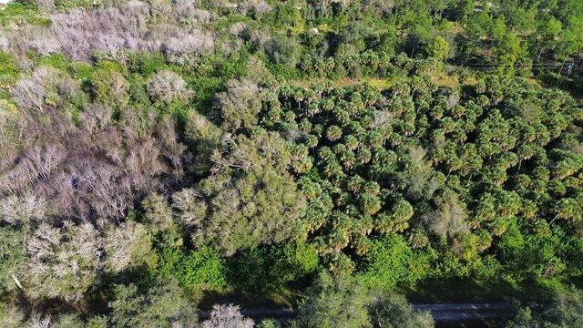 1219 ROSITA STREET E, Lehigh Acres, FL 33974