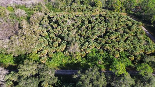 1219 ROSITA STREET E, Lehigh Acres, FL 33974