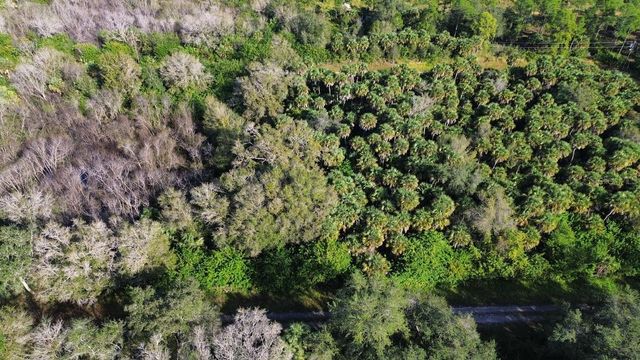 1219 ROSITA STREET E, Lehigh Acres, FL 33974