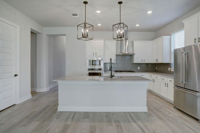 17229 Autumn Falls LN, Manor, TX 78653