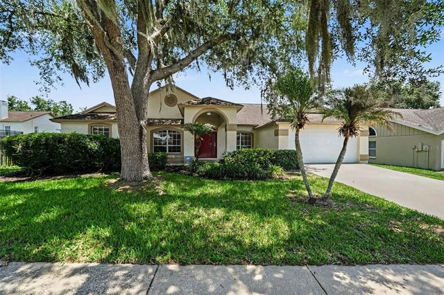 2909 STARMOUNT DRIVE, Valrico, FL 33596