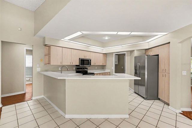 2909 STARMOUNT DRIVE, Valrico, FL 33596