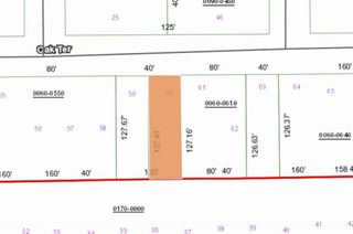 0 Unassigned Rd, Interlachen, FL 32148