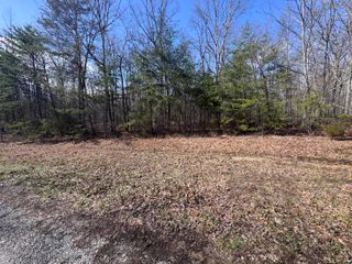 0 Mountain Laurel Road, Pikeville, TN 37367