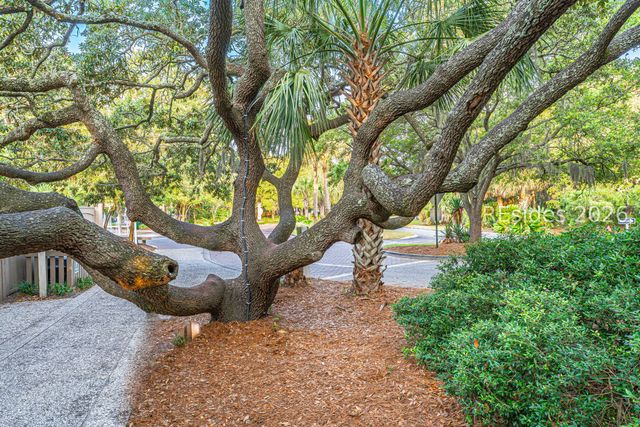 4 N Forest Beach Dr Apt 208, Hilton Head Island, SC 29928