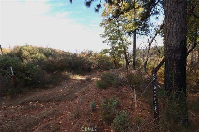 15667 17 N 11, Upper Lake, CA 95485