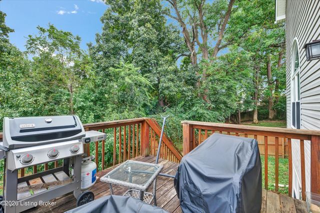11415 Catalpa View Ct, Louisville, KY 40299