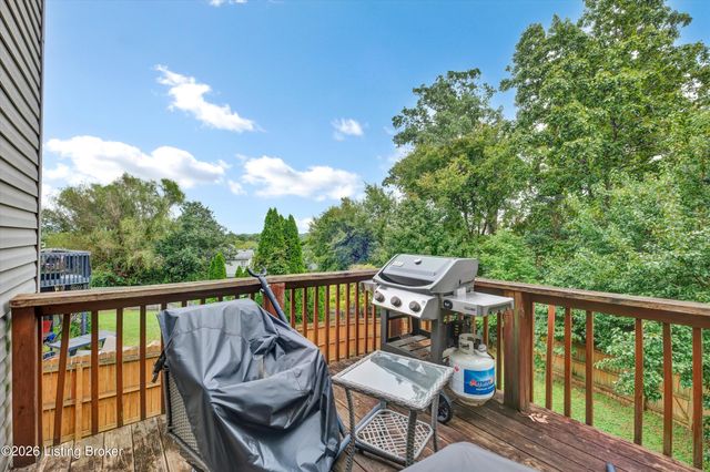 11415 Catalpa View Ct, Louisville, KY 40299