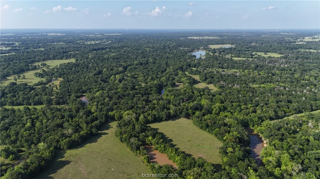 TBD Wilson Pasture Rd (+/-192.33 acres), Bryan, TX 77808 — photo 2