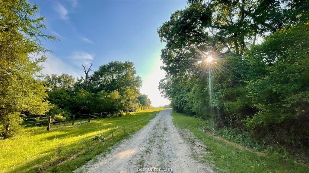 TBD Wilson Pasture Rd (+/-192.33 acres), Bryan, TX 77808 — photo 3