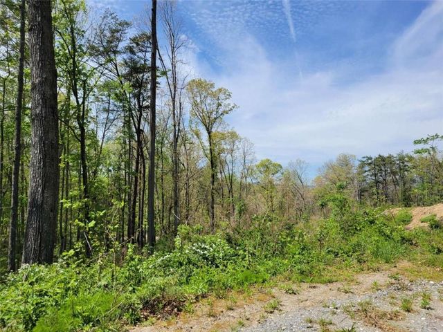 Lot 4 Old Northcutt Road, Ellijay, GA 30540