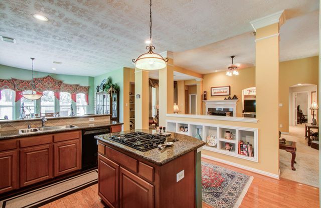 10318 Cadena Court, Spring, TX 77379