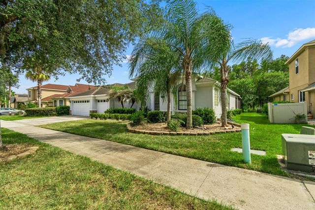19236 CLIMBING ASTER DRIVE, Tampa, FL 33647