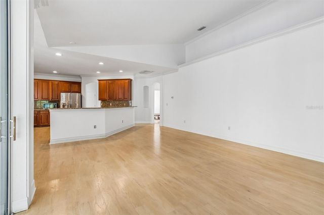 19236 CLIMBING ASTER DRIVE, Tampa, FL 33647