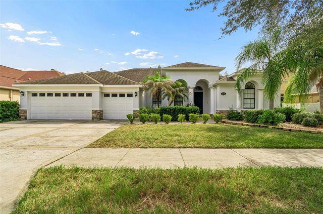 19236 CLIMBING ASTER DRIVE, Tampa, FL 33647