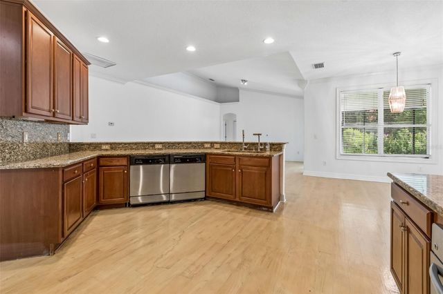 19236 CLIMBING ASTER DRIVE, Tampa, FL 33647