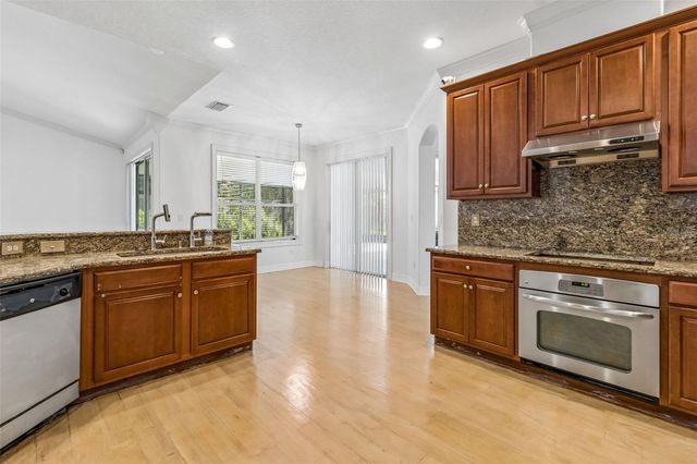 19236 CLIMBING ASTER DRIVE, Tampa, FL 33647