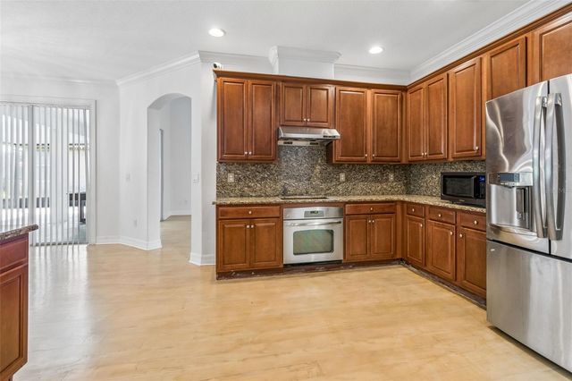 19236 CLIMBING ASTER DRIVE, Tampa, FL 33647
