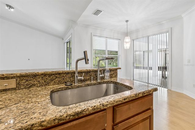 19236 CLIMBING ASTER DRIVE, Tampa, FL 33647