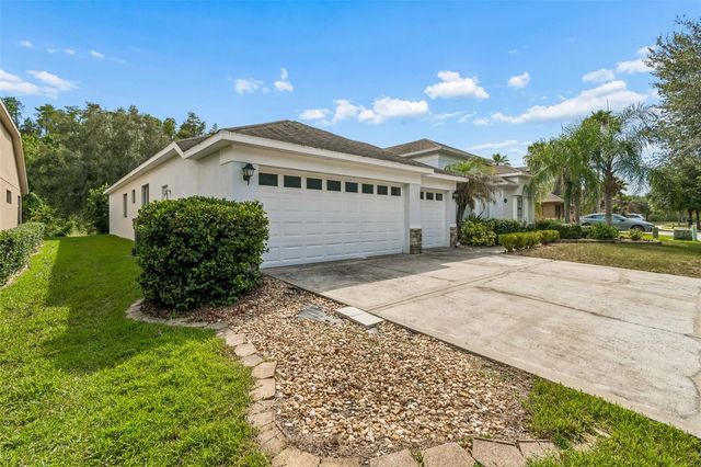 19236 CLIMBING ASTER DRIVE, Tampa, FL 33647
