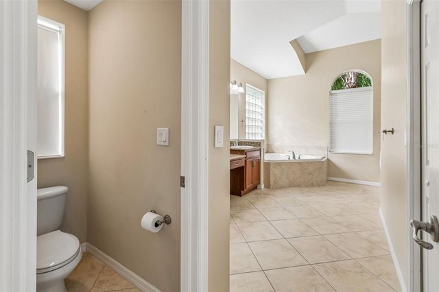 19236 CLIMBING ASTER DRIVE, Tampa, FL 33647