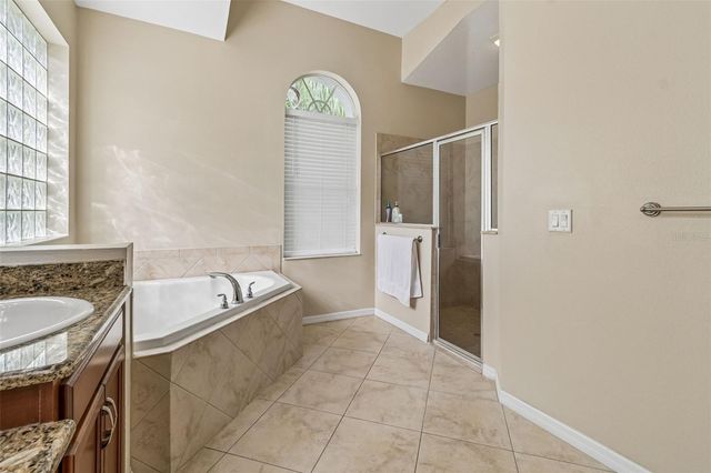 19236 CLIMBING ASTER DRIVE, Tampa, FL 33647