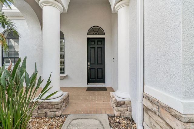 19236 CLIMBING ASTER DRIVE, Tampa, FL 33647