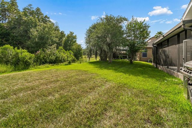 19236 CLIMBING ASTER DRIVE, Tampa, FL 33647