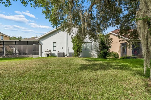 19236 CLIMBING ASTER DRIVE, Tampa, FL 33647